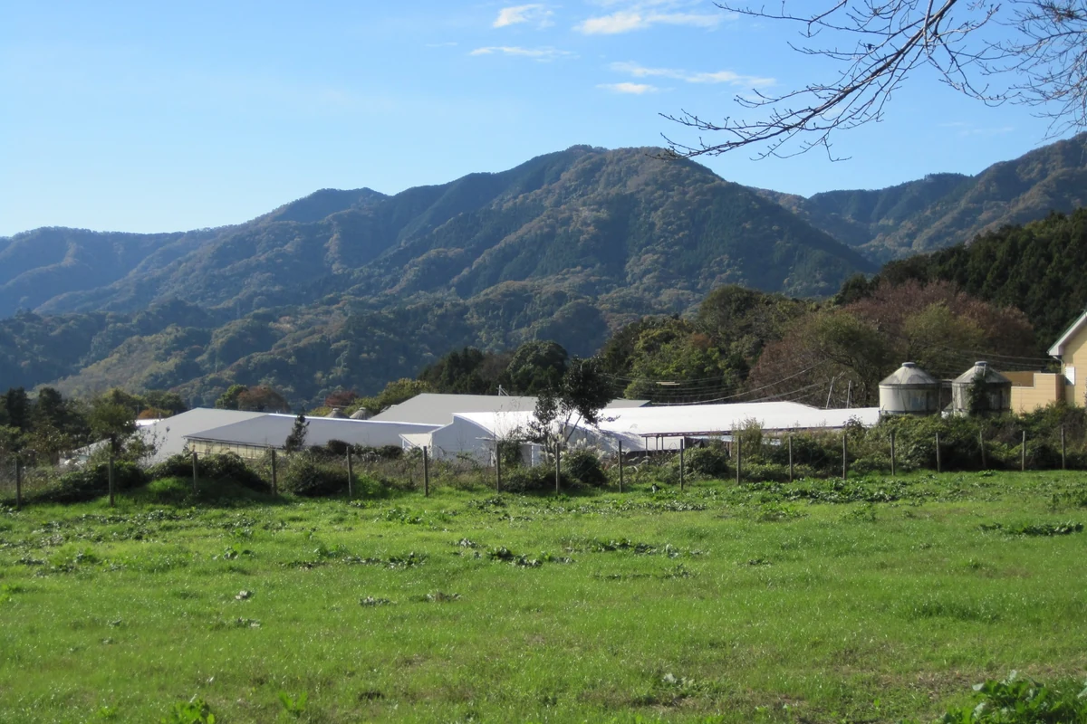 丹沢農場と丹沢の山並み