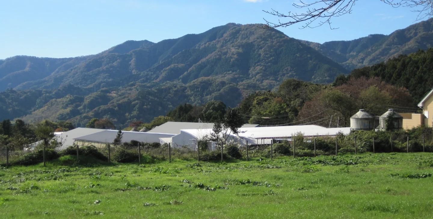 丹沢農場から見た丹沢山系